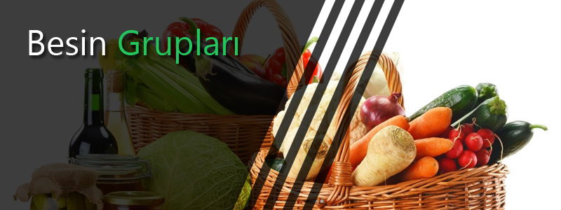 besin grupları