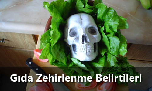 gıda zehirlenme belirtileri