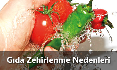 gıda zehirlenme nedenleri