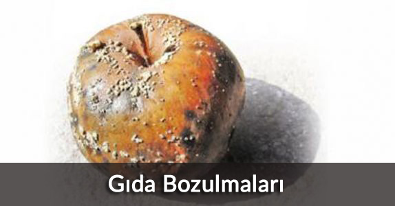 gıda bozulmaları, besin bozulmaları