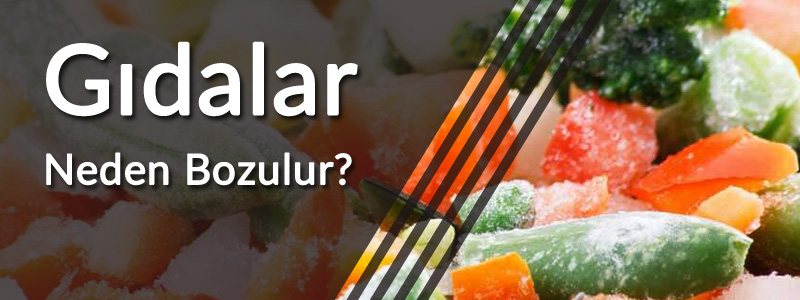 gıdalar neden bozulur